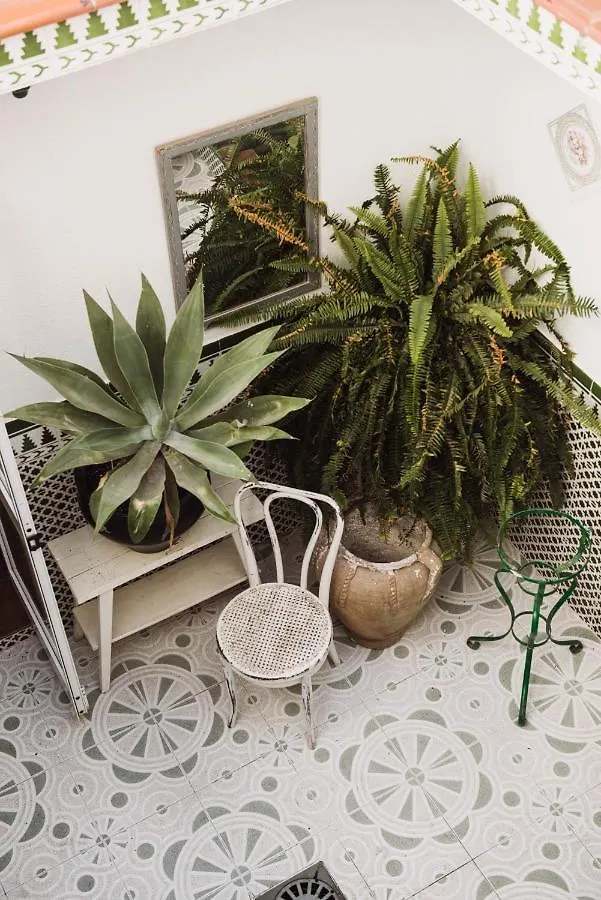 Encanto Guesthouse Canillas de Aceituno Spanien